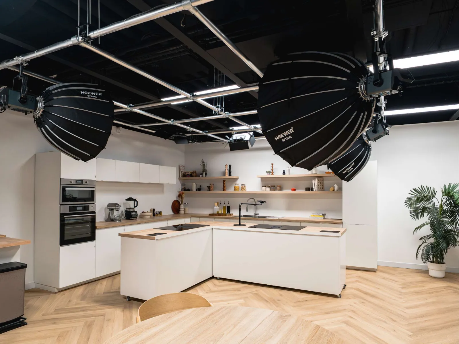 Studio Famille - Vue principale